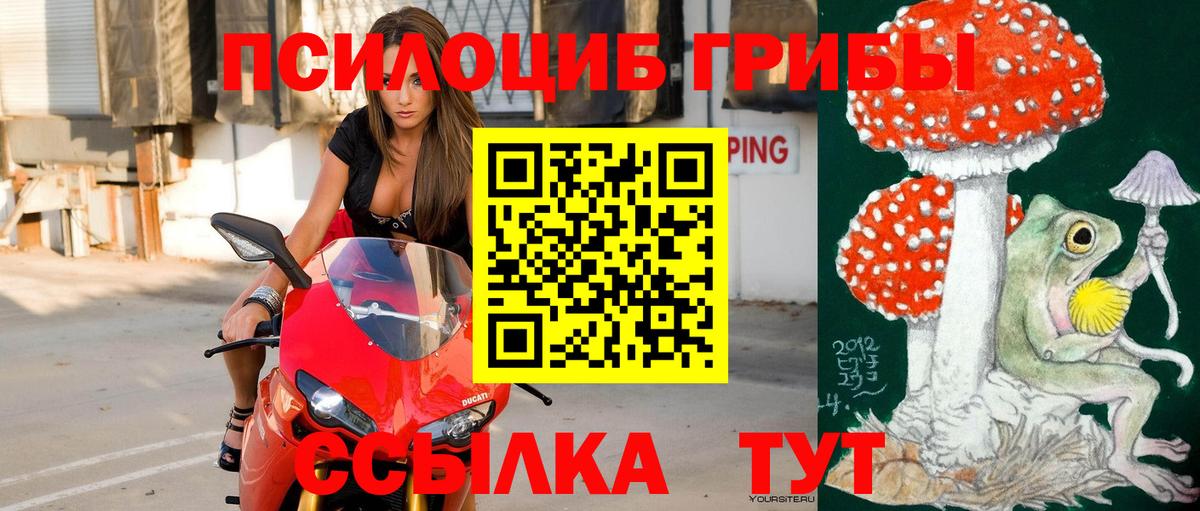 Псилоцибиновые грибы мухоморы Озёрск